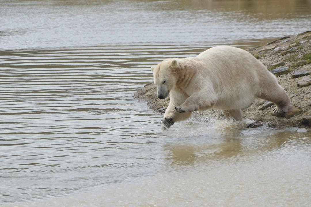 漳浦开渔 千帆竞发赴蓝海